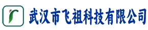 武汉市飞祖科技有限公司
